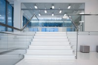 ����������� �����������