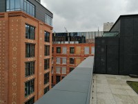 ����������� �����������